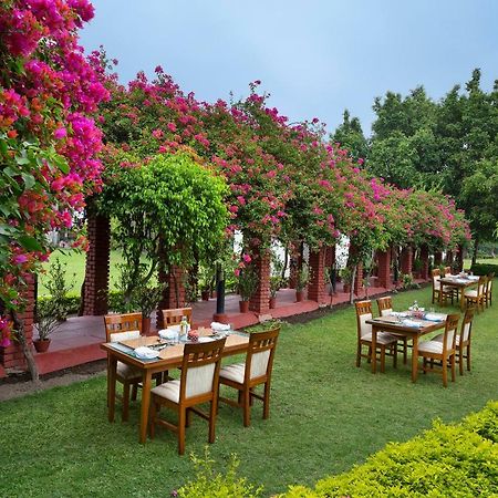 Naturoville Ayurvedic And Yoga Retreat Hotel Rishīkesh Exterior foto