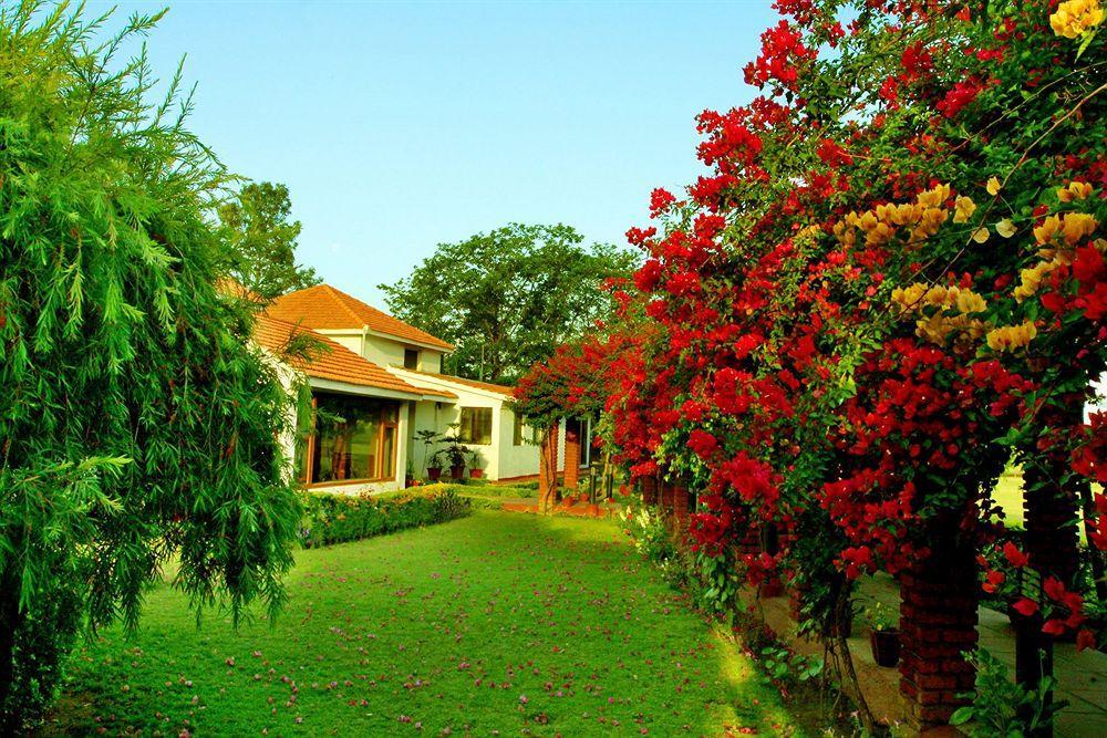 Naturoville Ayurvedic And Yoga Retreat Hotel Rishīkesh Exterior foto