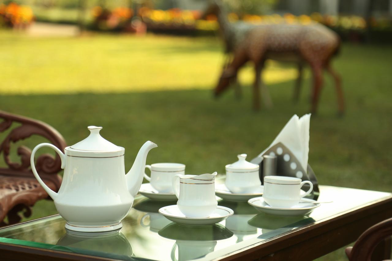 Naturoville Ayurvedic And Yoga Retreat Hotel Rishīkesh Exterior foto
