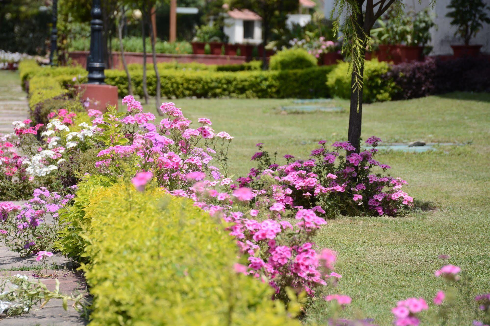 Naturoville Ayurvedic And Yoga Retreat Hotel Rishīkesh Exterior foto