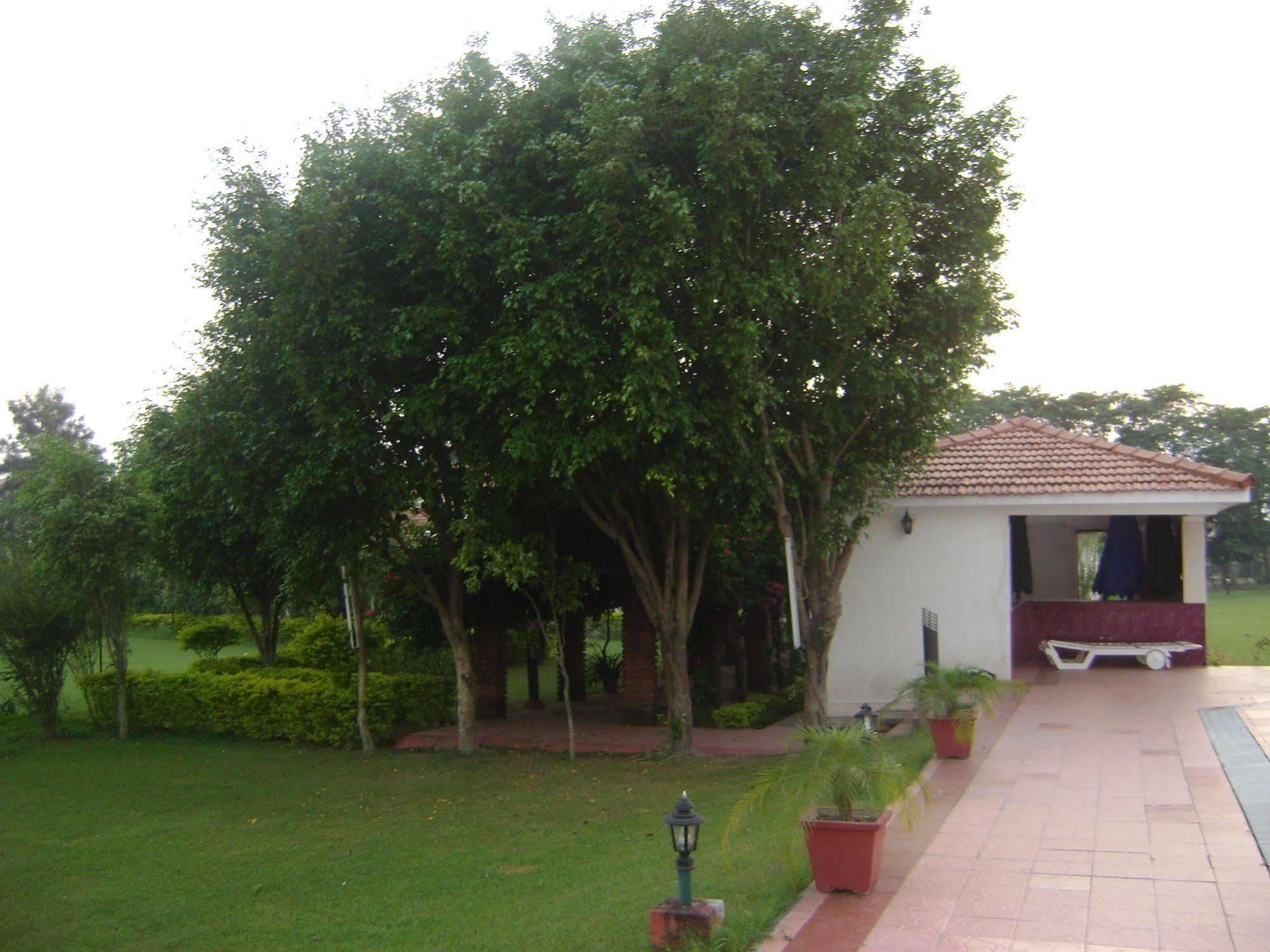 Naturoville Ayurvedic And Yoga Retreat Hotel Rishīkesh Exterior foto