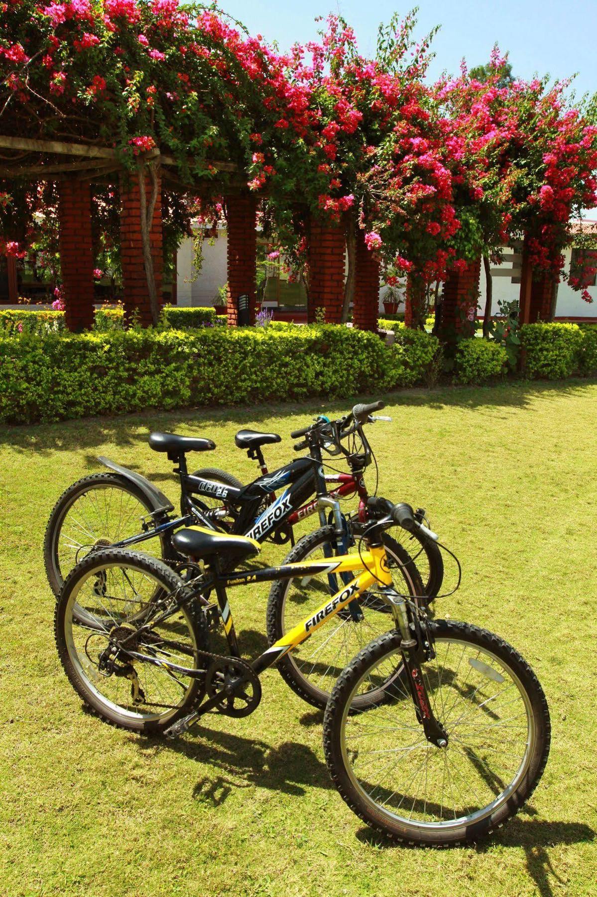 Naturoville Ayurvedic And Yoga Retreat Hotel Rishīkesh Exterior foto
